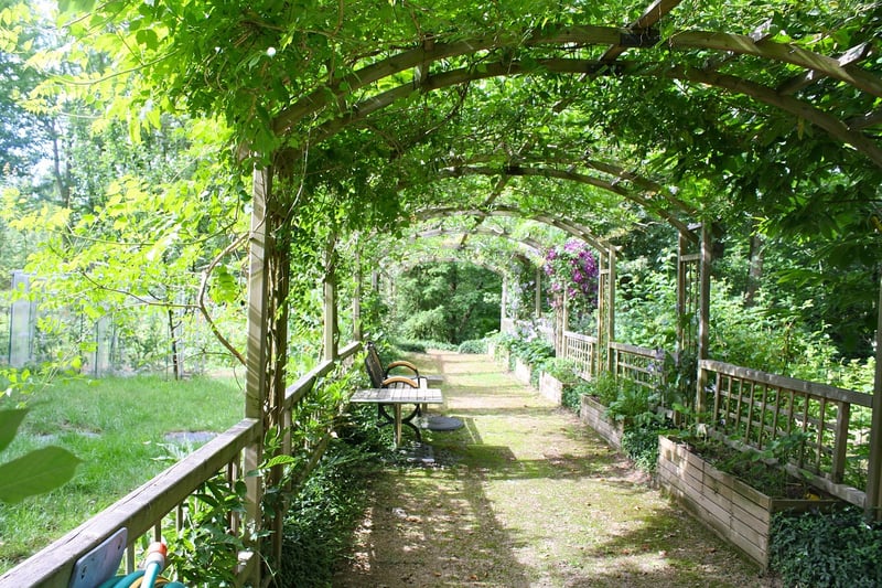 Trellis and Arbor