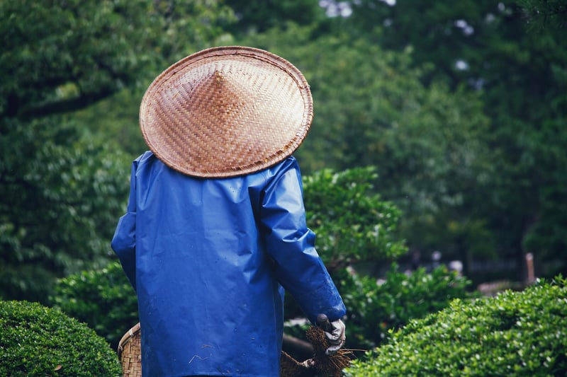 Gardening Image