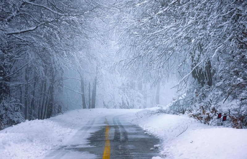 Winter Snow
